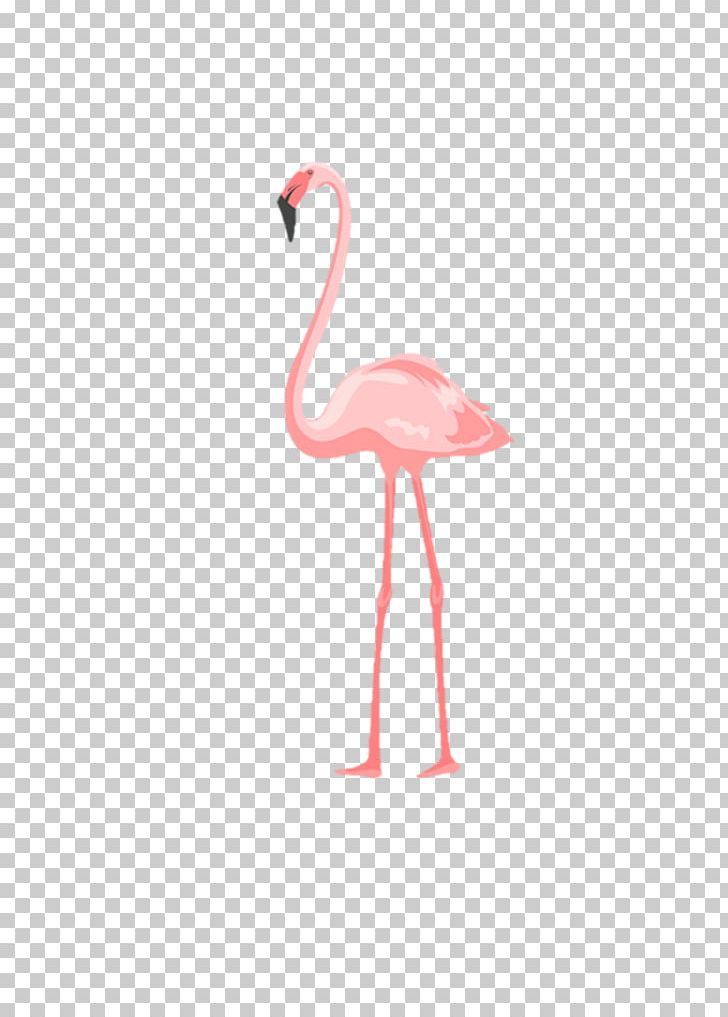 Beak Neck PNG, Clipart, Art, Beach, Beak, Bird, Flamingo Free PNG Download