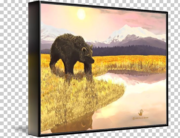Bear Painting Frames Elephantidae Wildlife PNG, Clipart, Animals, Ashley Pond, Bear, Carnivoran, Elephantidae Free PNG Download