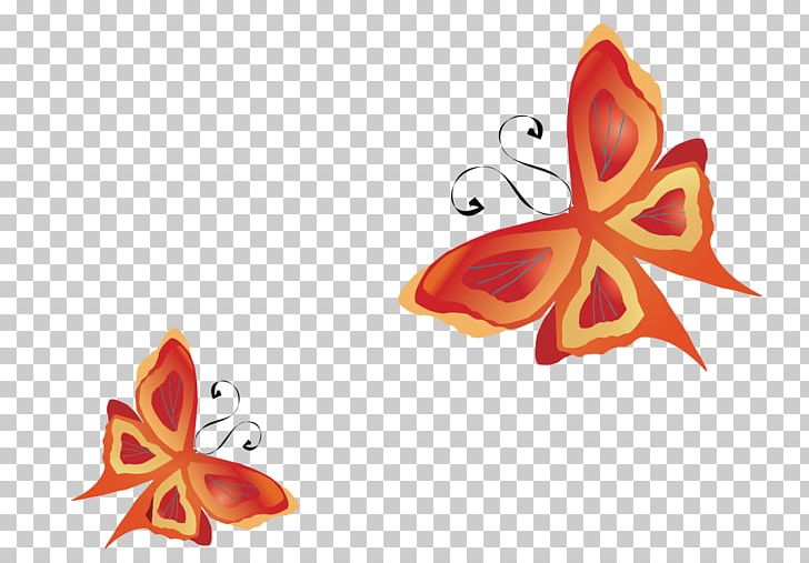 Butterfly Insect Euclidean PNG, Clipart, But, Butterflies, Butterfly Group, Butterfly Vector, Computer Wallpaper Free PNG Download
