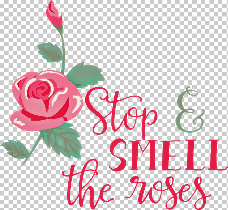 Rose Stop And Smell The Roses PNG, Clipart, Cut Flowers, Floral Design, Flower, Garden Roses, Greeting Card Free PNG Download