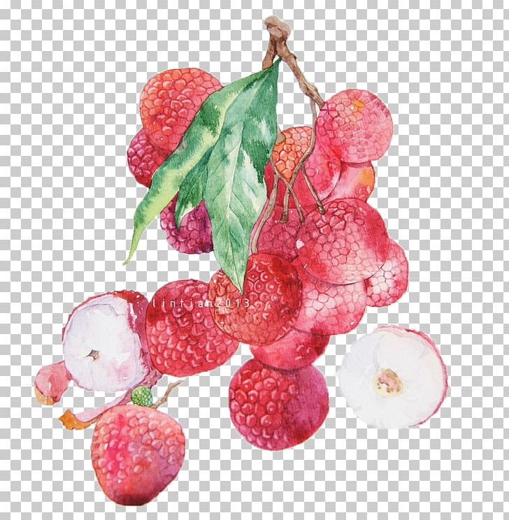 Lychee Watercolor Painting Fruit Auglis Illustration PNG, Clipart, Auglis, Berry, Flavor, Food, Fruit Free PNG Download