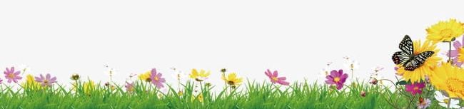 Flowers PNG, Clipart, Bottom, Bottom Flowers, Flowers, Flowers Clipart, Grass Free PNG Download