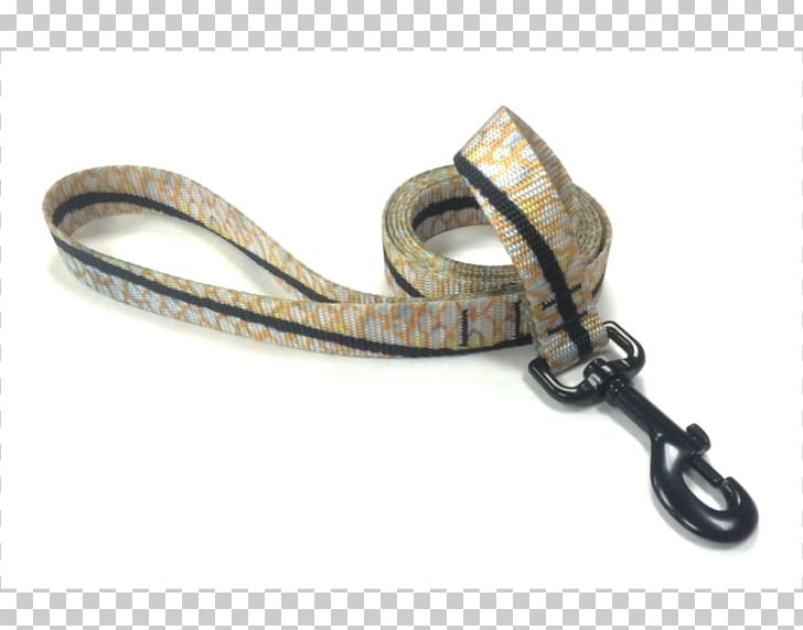 Leash Reptile Dog Belt Metal PNG, Clipart, Belt, Dog, Fashion Accessory, Lead, Leash Free PNG Download