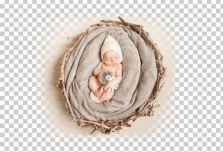 Astrakhan Photographer Videographer Beige Photo Shoot PNG, Clipart, Astrakhan, Baby Smile, Beige, Greeting, Nature Free PNG Download
