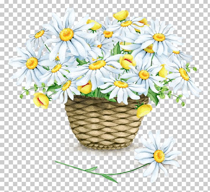 Common Daisy Chrysanthemum Watercolor Painting Illustration PNG, Clipart, Background White, Baskets, Black White, Chrysanthemum, Chrysanths Free PNG Download
