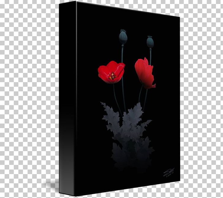 Still Life Photography The Poppy Family PNG, Clipart, Coquelicot, Flower, Flowering Plant, Heart, Opium Poppy Free PNG Download