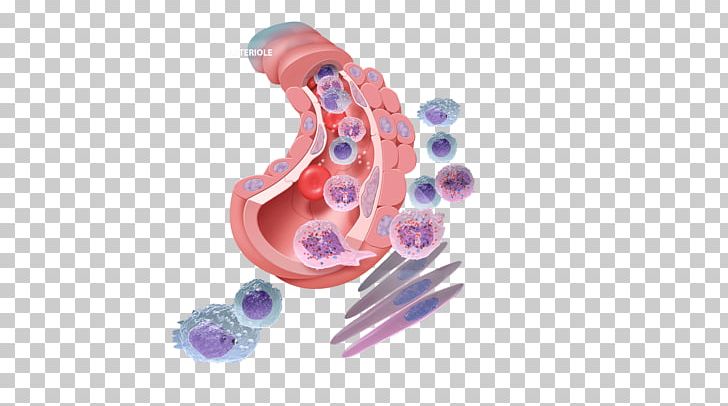 Tissue Organism Inflammation Injury Infection PNG, Clipart, Biological Process, Biology, Body Jewellery, Body Jewelry, Infection Free PNG Download