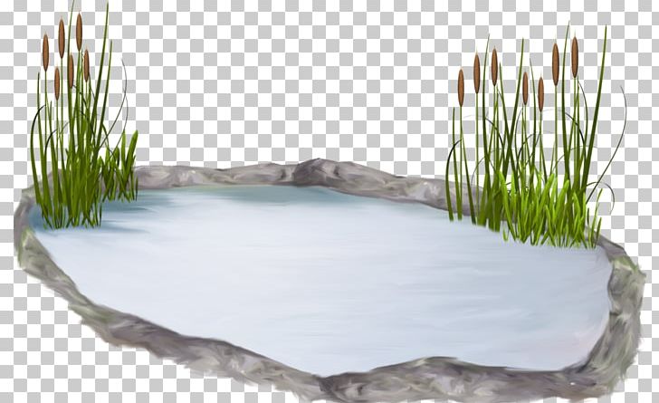 Water Resources Pond Lawn Grasses PNG, Clipart, Family, Grass, Grasses, Grass Family, Lawn Free PNG Download