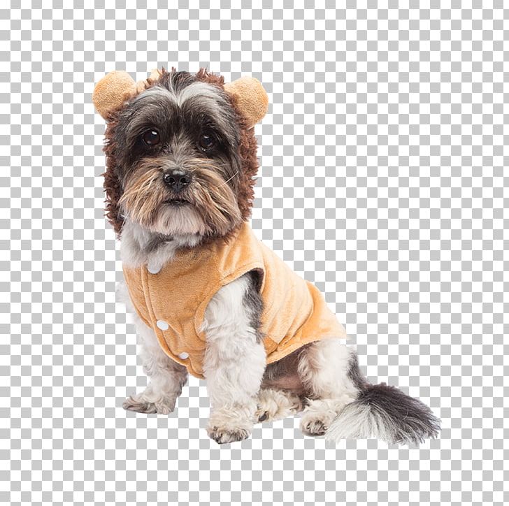 Shih Tzu Puppy Little Lion Dog Dog Breed Tibetan Spaniel PNG, Clipart, Breed, Breed Group Dog, Carnivoran, Companion Dog, Costume Free PNG Download