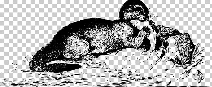 Cat Dog Drawing Homo Sapiens Mammal PNG, Clipart, Animal, Animals, Art, Artwork, Bear Free PNG Download