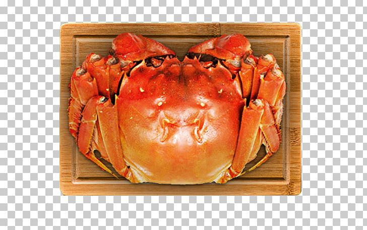 Dungeness Crab King Crab Chinese Mitten Crab PNG, Clipart, Animals, Animal Source Foods, Asia Map, Chinese Mitten Crab, Crab Free PNG Download
