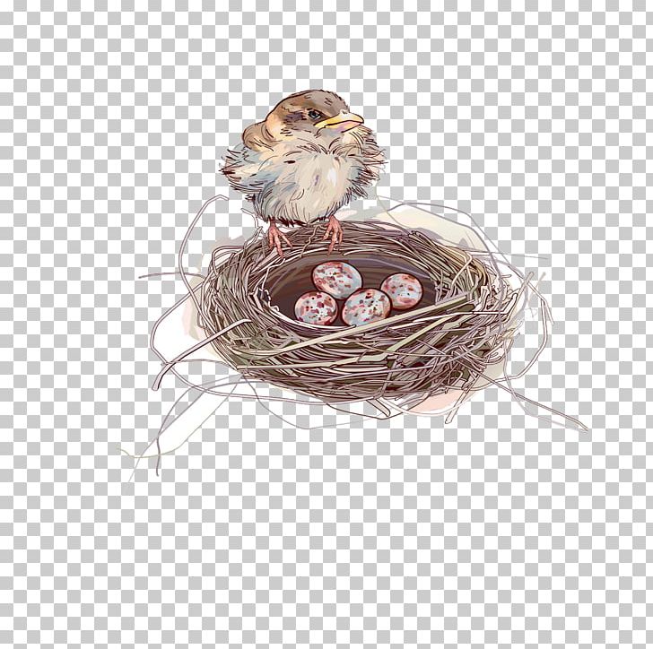 Sparrow Bird Nest Egg PNG, Clipart, American Robin, Animals, Beak, Bird, Bird Nest Vector Free PNG Download