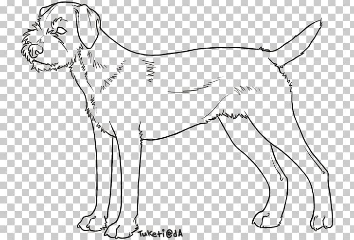 Dog Breed Border Terrier Airedale Terrier American Pit Bull Terrier American Hairless Terrier PNG, Clipart, Airedale Terrier, American Hairless Terrier, American Pit Bull Terrier, Animal, Art Free PNG Download