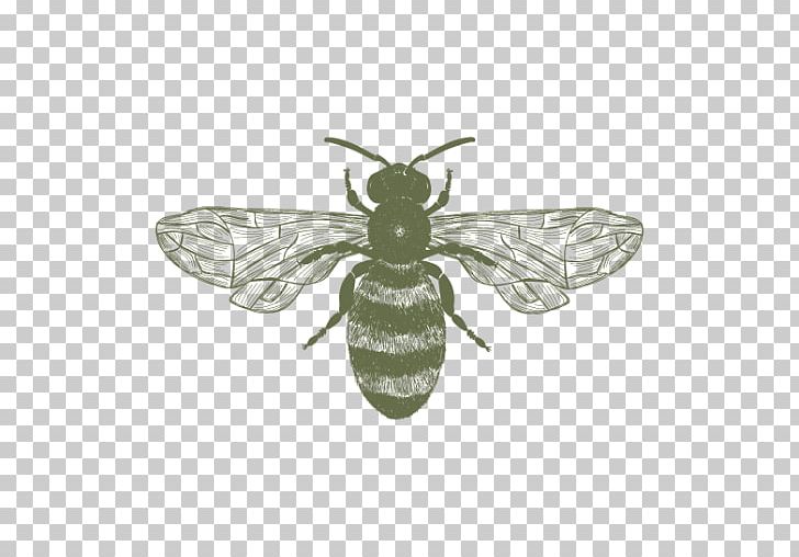 Honey Bee Pottery Ceramic Insect PNG, Clipart,  Free PNG Download