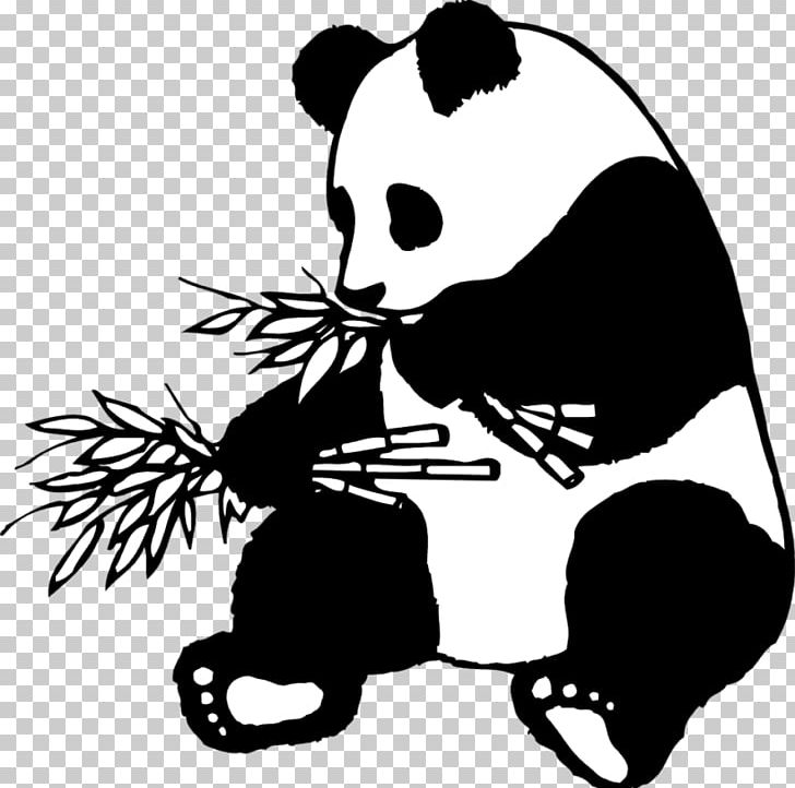 Giant Panda Drawing Line Art Bear PNG, Clipart, Animals, Art, Artwork, Bear, Black Free PNG Download