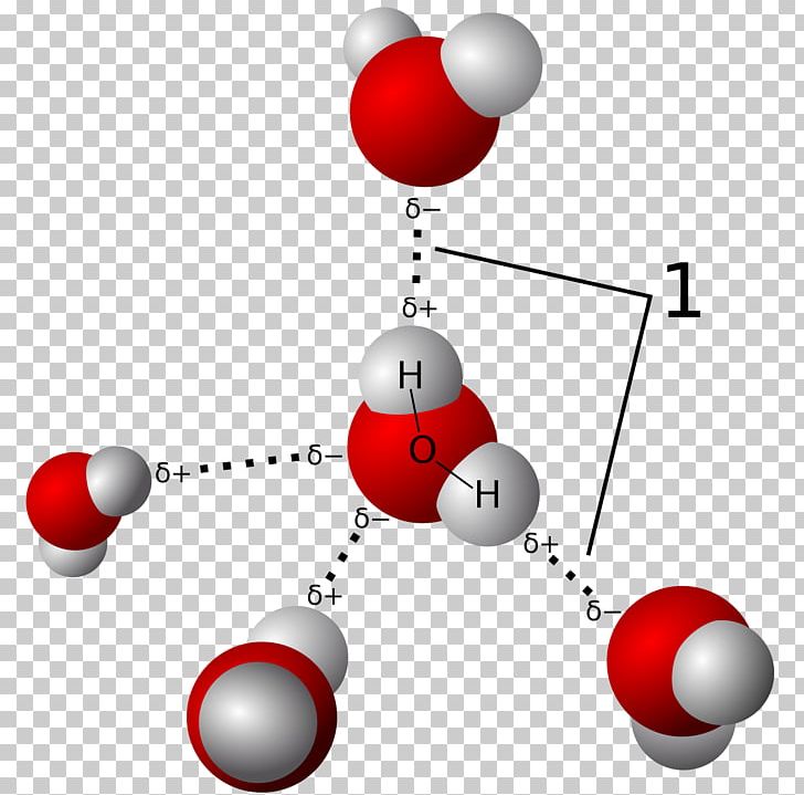 Hydrogen Bond Chemical Bond Covalent Bond Molecule Hydrogen Atom PNG, Clipart, Atom, Bond Energy, Chemical Bond, Chemistry, Christmas Ornament Free PNG Download