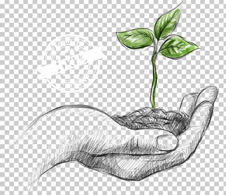 Natural Environment Environmental Protection Sustainability World Environment Day PNG, Clipart, Agriculture, Arm, Black And White, Company, Drawing Free PNG Download