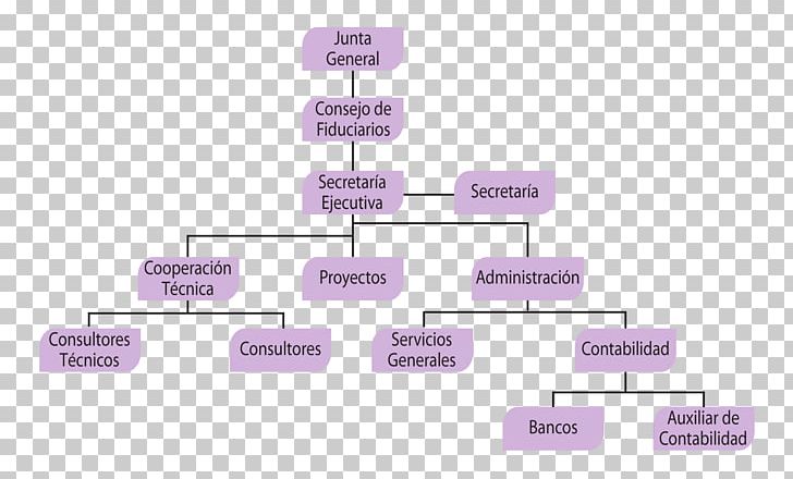 Organizational Structure Organizational Chart Belizean–Guatemalan Territorial Dispute PNG, Clipart, Brand, Central America, Concept, Concept Map, Diagram Free PNG Download