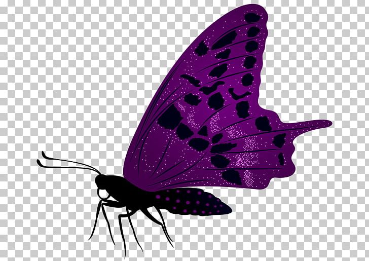 Butterfly Desktop PNG, Clipart, Arthropod, Brush Footed Butterfly, Butterflies And Moths, Butterfly, Desktop Wallpaper Free PNG Download