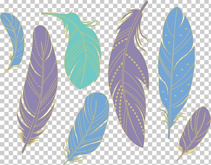 Feather PNG, Clipart, Animals, Blue, Color, Download, Drawing Free PNG Download