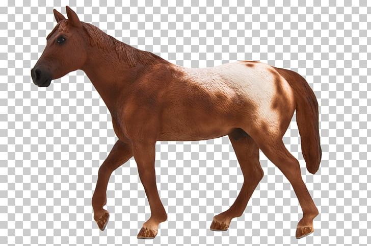 Appaloosa American Quarter Horse Thoroughbred Stallion Hanoverian Horse PNG, Clipart, American Quarter Horse, Animal, Animal Figure, Animal Planet, Appaloosa Free PNG Download
