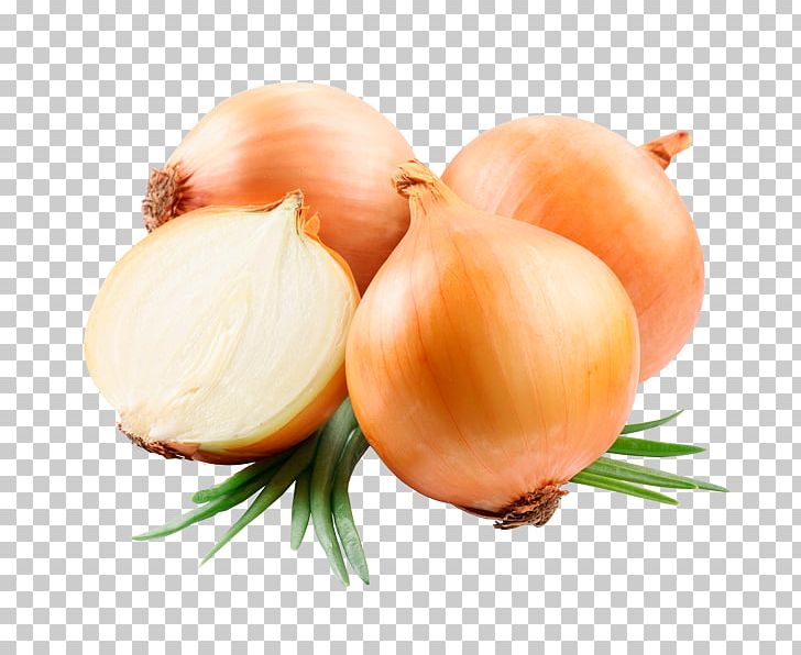 Vegetable Yellow Onion Food Ugam Exports Product PNG, Clipart, Carrot, Company, Cooking, Export, Food Free PNG Download