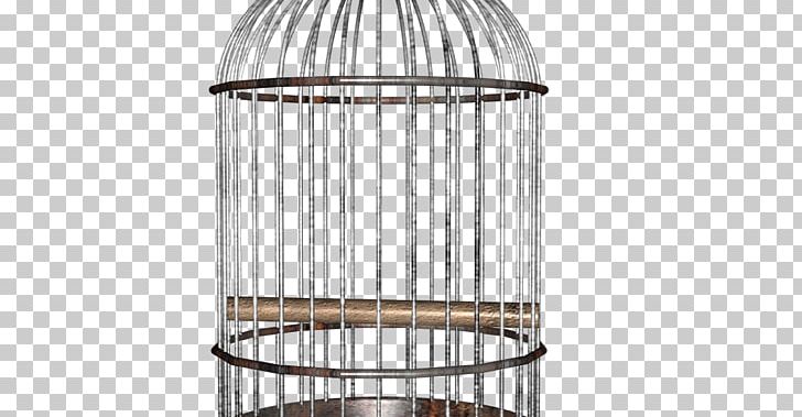 Birdcage Parrot PNG, Clipart, Animals, Aviary, Bird, Birdcage, Cage Free PNG Download