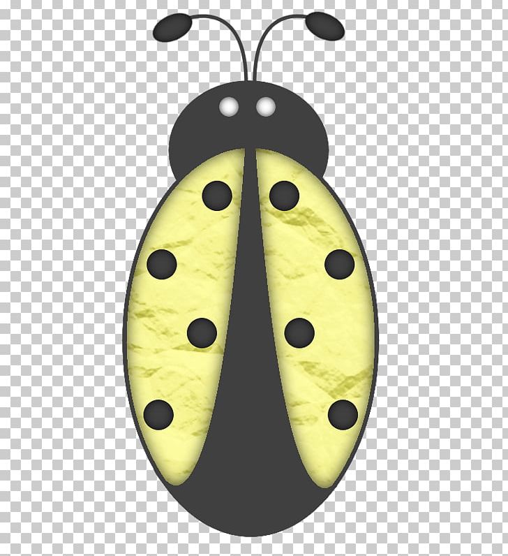 Ladybird PNG, Clipart, Animals, Beatles, Beetle, Color, Download Free PNG Download