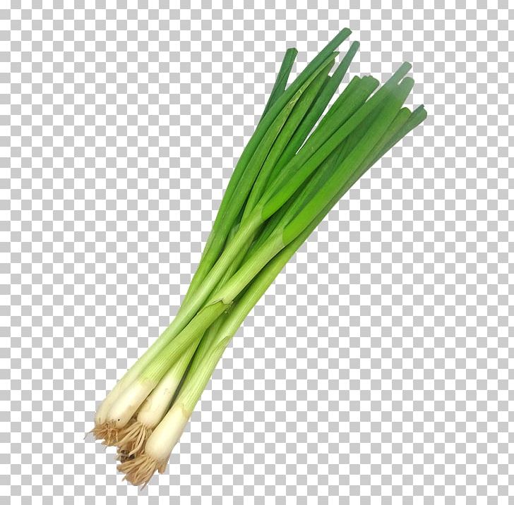 Leek PNG, Clipart, Leek Free PNG Download