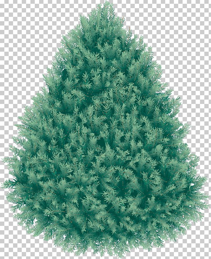 Blue Spruce PNG, Clipart, Blu, Christmas, Christmas Decoration, Christmas Ornament, Christmas Tree Free PNG Download