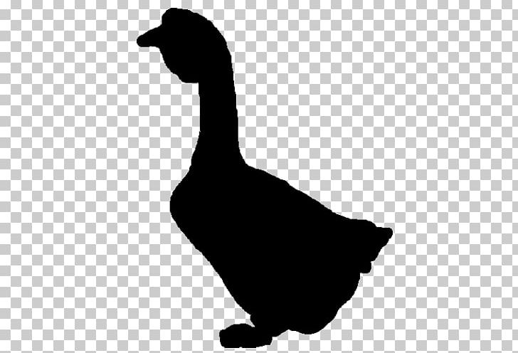 Duck Goose Water Bird Anatidae PNG, Clipart, Anatidae, Animals, Beak, Bird, Black And White Free PNG Download