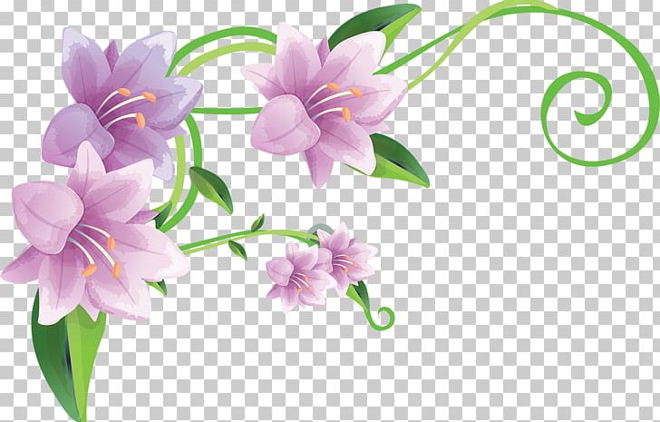 Lilium PNG, Clipart, Cut Flowers, Download, Flora, Floral Design, Floristry Free PNG Download