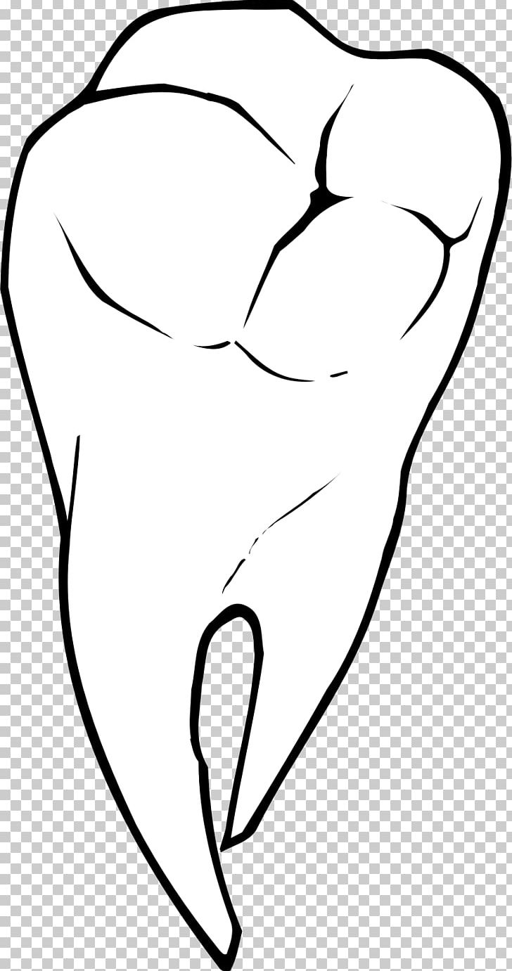 Tooth PNG, Clipart, Angle, Arm, Art, Artwork, Beak Free PNG Download