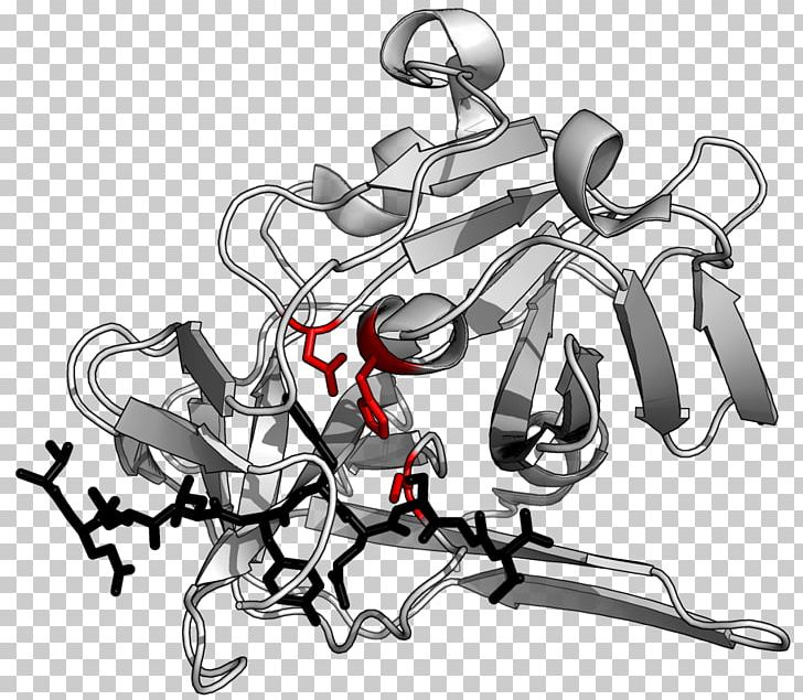 TEV Protease Tobacco Etch Virus Peptide Bond Enzyme PNG, Clipart, Automotive Design, Auto Part, Black And White, Catalysis, Chymotrypsin Free PNG Download