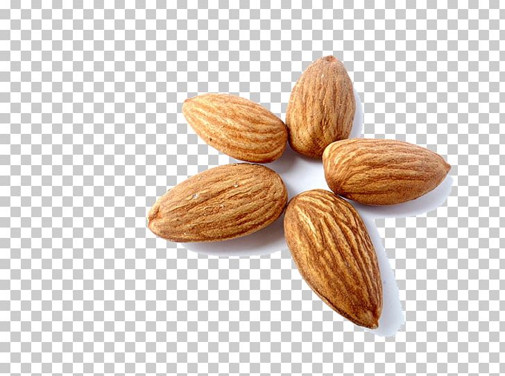Almond Milk Nut Peel Eating PNG, Clipart, Almond, Almond Milk, Almond Nut, Almond Oil, Almonds Free PNG Download