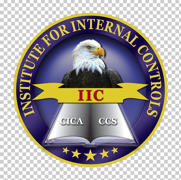 Certified Internal Control Auditors Internal Audit Logo Emblem PNG, Clipart,  Free PNG Download