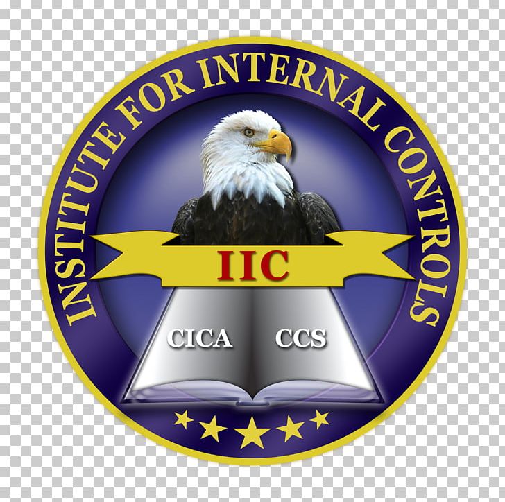 Certified Internal Control Auditors Internal Audit Logo Emblem PNG ...