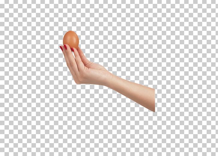 Chicken Egg Thumb PhotoScape PNG, Clipart, Arm, Chicken Egg, Depositfiles, Download, Egg Free PNG Download