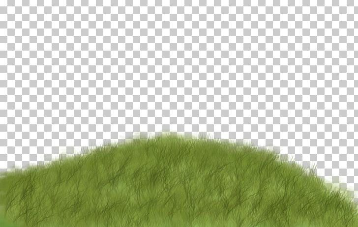 Lawn Green Grasses Tree Pattern PNG, Clipart, Background Green, Creative Background, Family, Grass, Grasses Free PNG Download