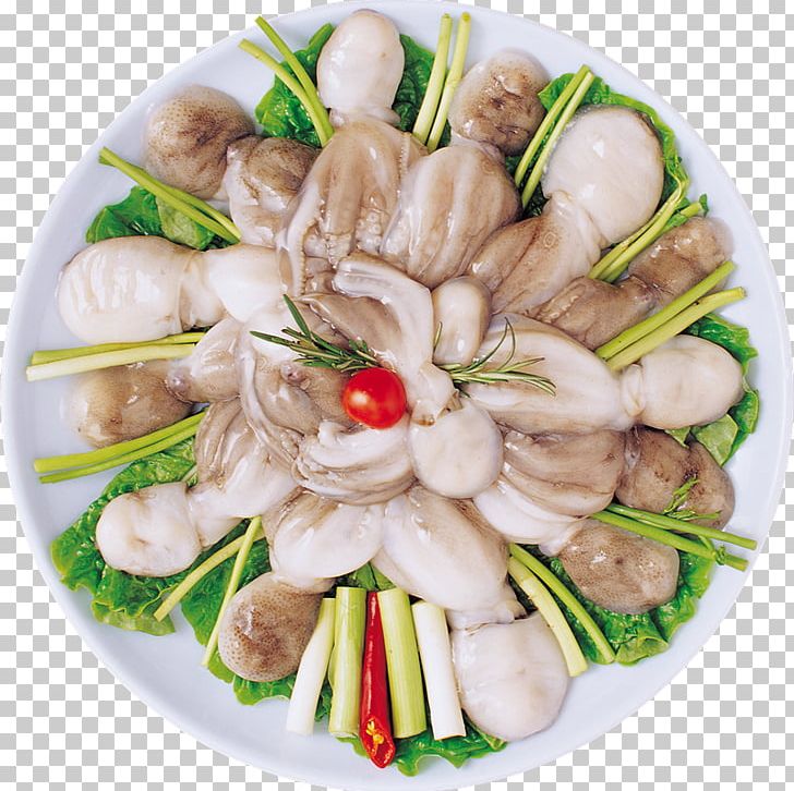 Squid As Food Seafood Clam Octopus PNG, Clipart,  Free PNG Download
