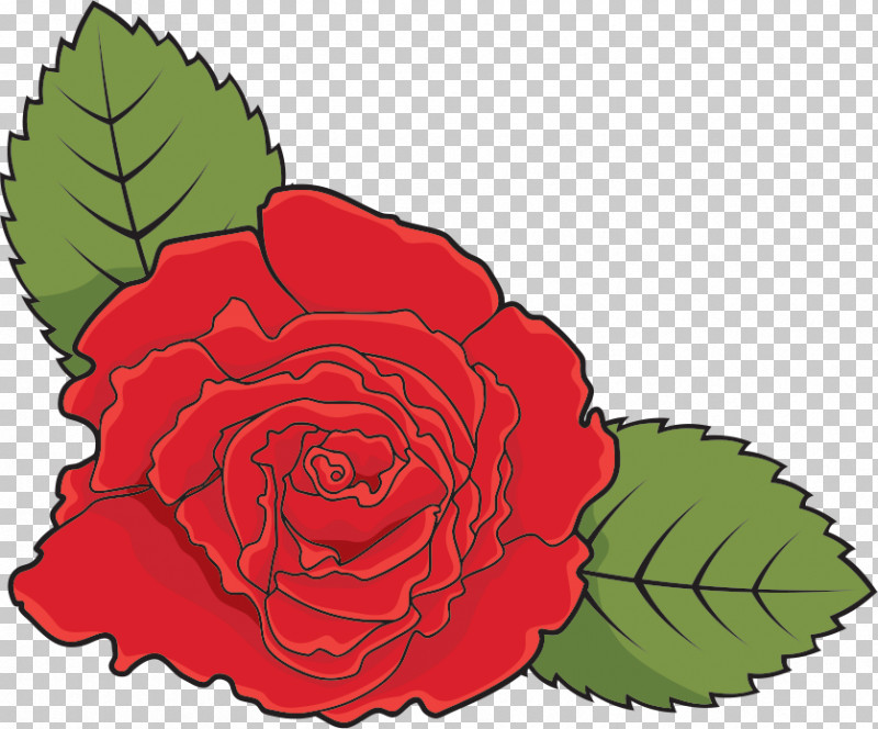 One Flower One Rose Valentines Day PNG, Clipart, Begonia, Camellia, Cut Flowers, Flower, Garden Roses Free PNG Download