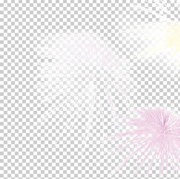 Petal Pattern PNG, Clipart, Chinese New Year, Circle, Festival, Firework, Fireworks Free PNG Download