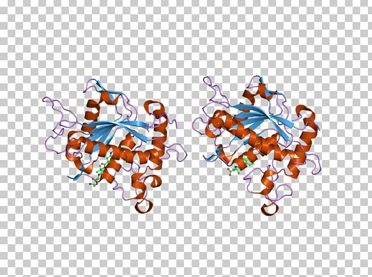 Thrombin Serine Protease Coagulation ADAM17 PNG, Clipart, Area, Art, Body Jewelry, Coagulation, Complex Free PNG Download