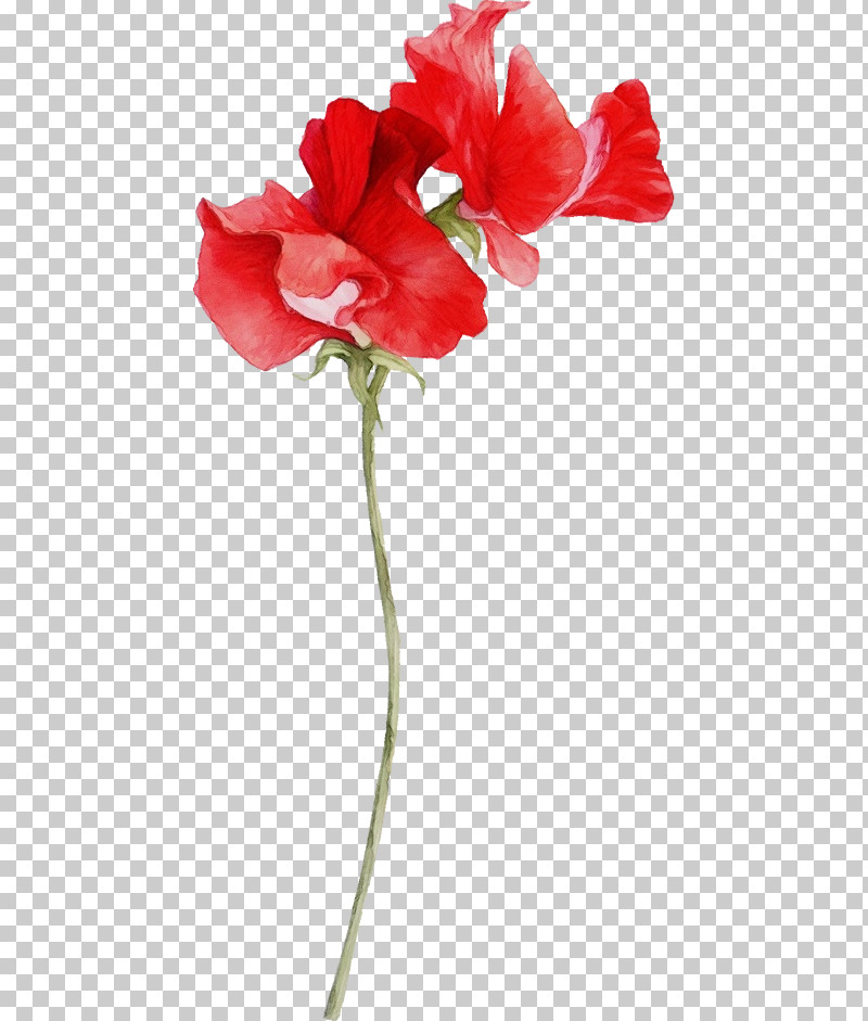 Artificial Flower PNG, Clipart, Artificial Flower, Coquelicot, Cut Flowers, Flower, Hippeastrum Free PNG Download