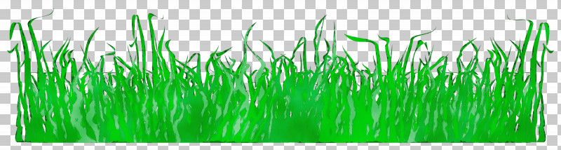 Green Grass Grass Family Plant PNG, Clipart, Grass, Grass Family, Green, Paint, Plant Free PNG Download