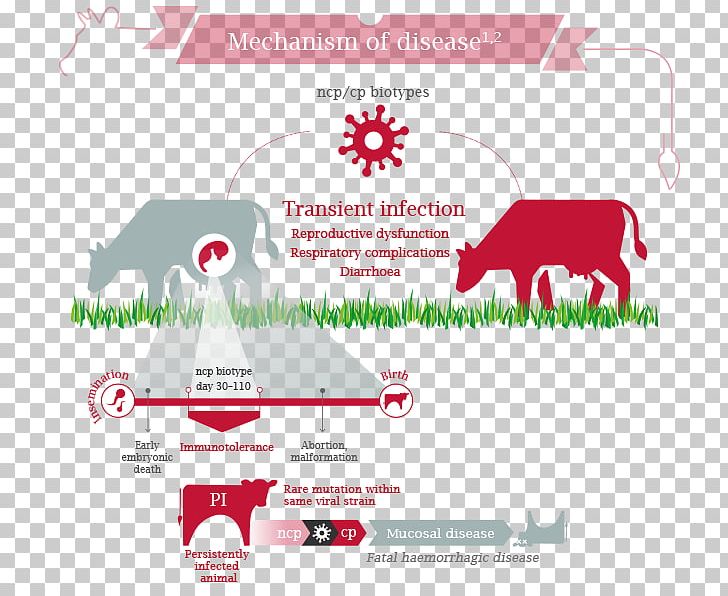 Bovine Viral Diarrhea Netherlands PNG, Clipart, Amyotrophic Lateral Sclerosis, Animal, Area, Bovine Viral Diarrhea, Brand Free PNG Download