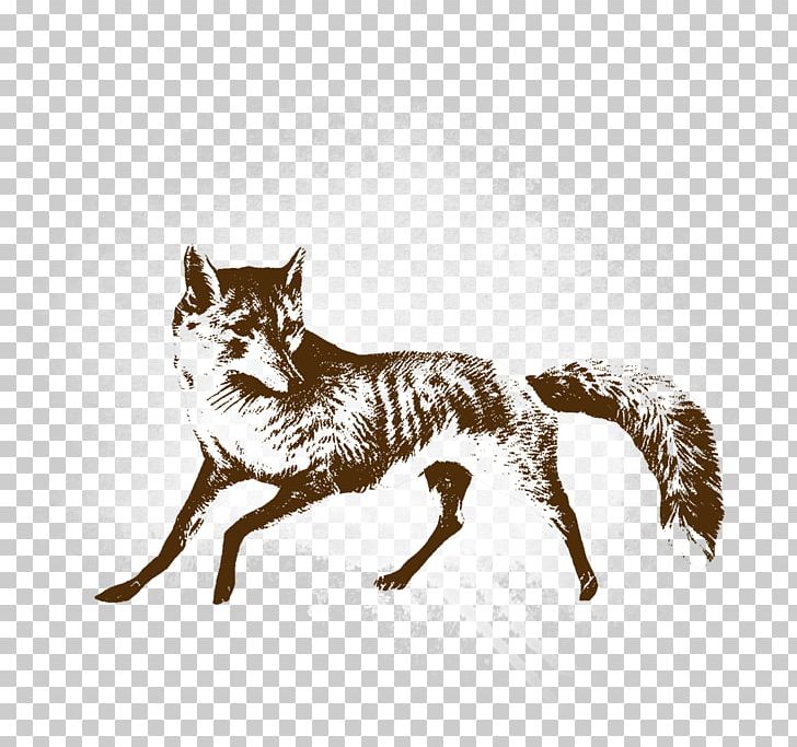 Cartoon Fox PNG, Clipart, Animal, Animals, Carnivoran, Cartoon Fox, Cat Free PNG Download