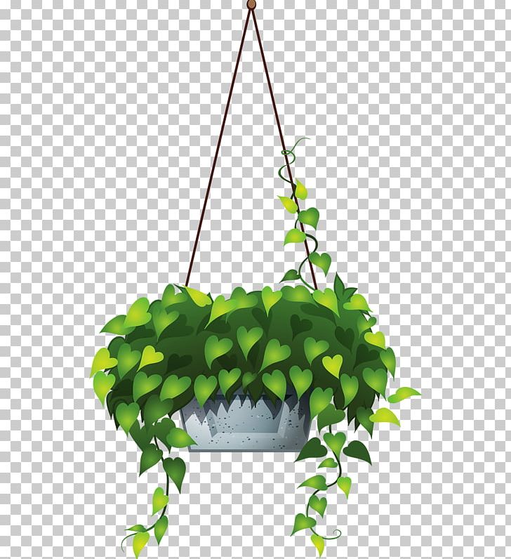 Plant Hanging Basket PNG, Clipart, Can Stock Photo, Fern, Flora, Floral Design, Flower Free PNG Download