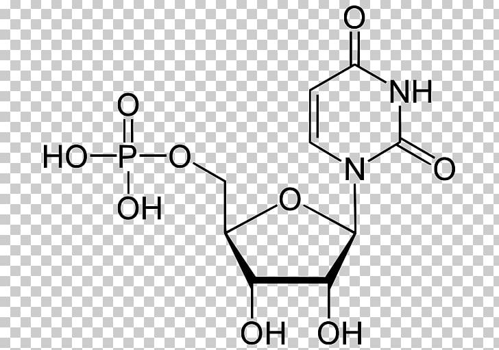 Thymidine Monophosphate Adenosine Monophosphate Deoxyuridine Monophosphate PNG, Clipart, Angle, Material, Miscellaneous, Monochrome, Nucleotide Free PNG Download