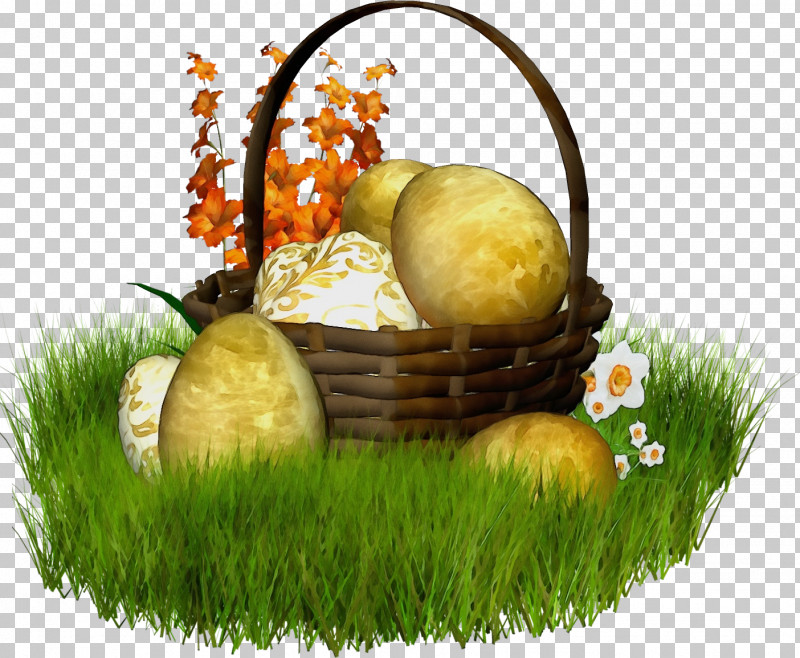 Grass Gift Basket Basket Storage Basket Bird Nest PNG, Clipart, Basket, Bird Nest, Easter, Gift Basket, Grass Free PNG Download